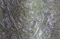 Salford fibreglass roof work